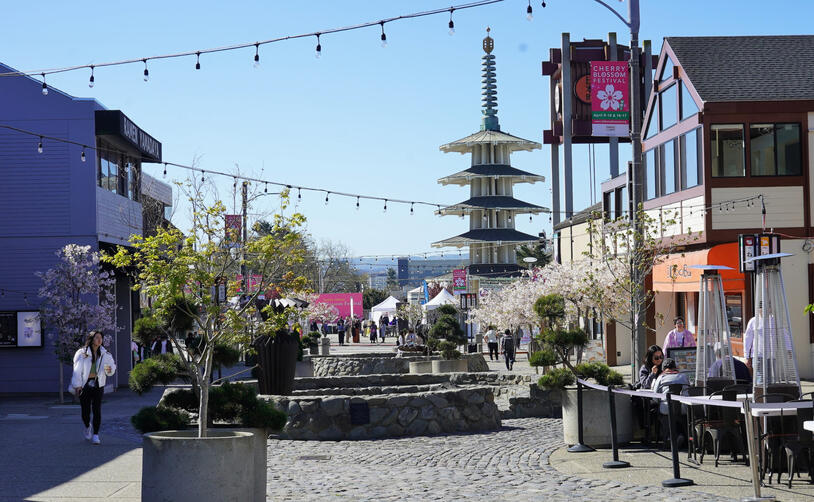 Victorians on Bush Street